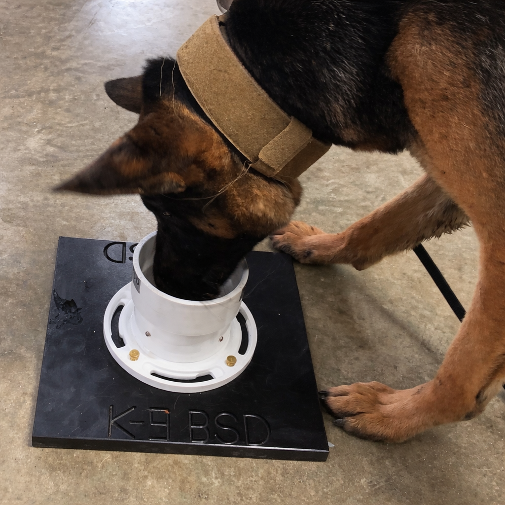 K9 BSD Open Top Food Reward   Single Unit