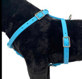ASAT Biothane Harness